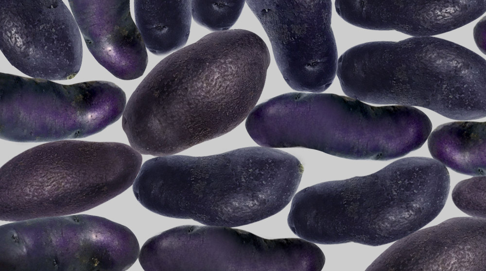 Fingerling bleue